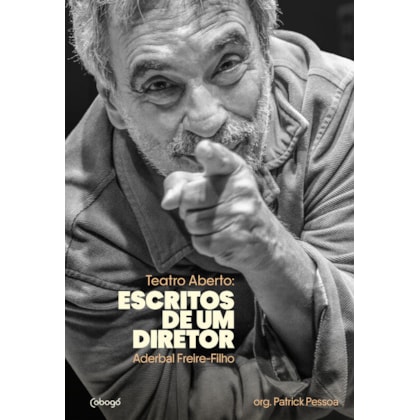 Teatro aberto: Escritos de um diretor