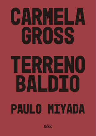 TERRENO BALDIO