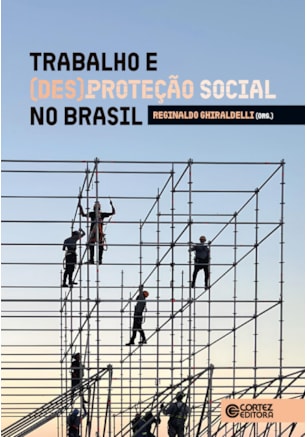 TRABALHO E (DES)PROTEÇÃO SOCIAL NO BRASIL
