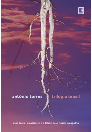 TRILOGIA BRASIL