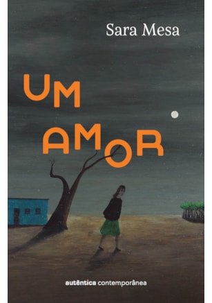 UM AMOR (DA MESMA AUTORA DE A FAMÍLIA)