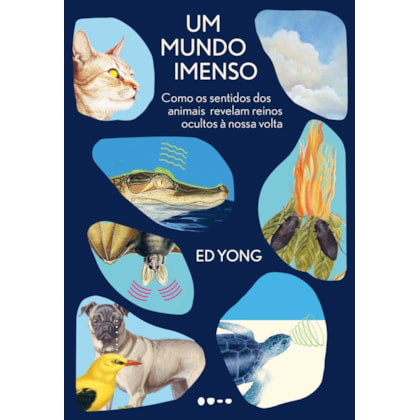 UM MUNDO IMENSO
