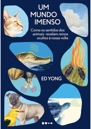 UM MUNDO IMENSO