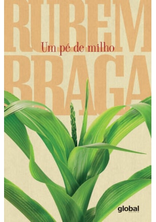 UM PÉ DE MILHO
