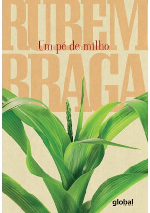 UM PÉ DE MILHO