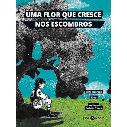 UMA FLOR QUE CRESCE NOS ESCOMBROS