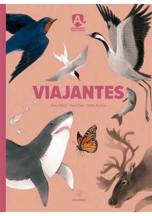 VIAJANTES