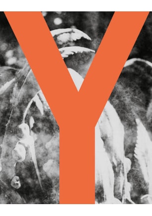 YALENTI